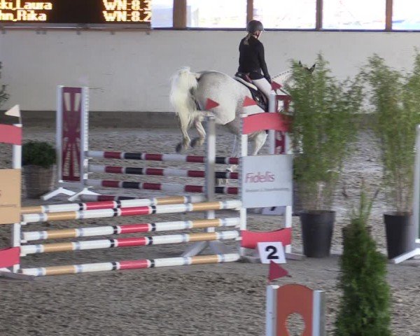 Reitturnier Fleesensee Classic´s 2024