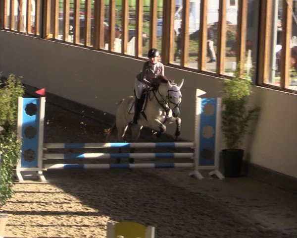 Reitturnier Fleesensee Classic´s 2024