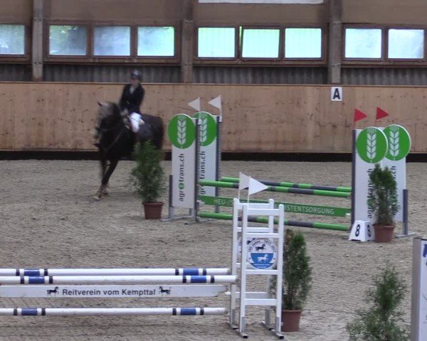 Reitturnier Fehraltorf 2024