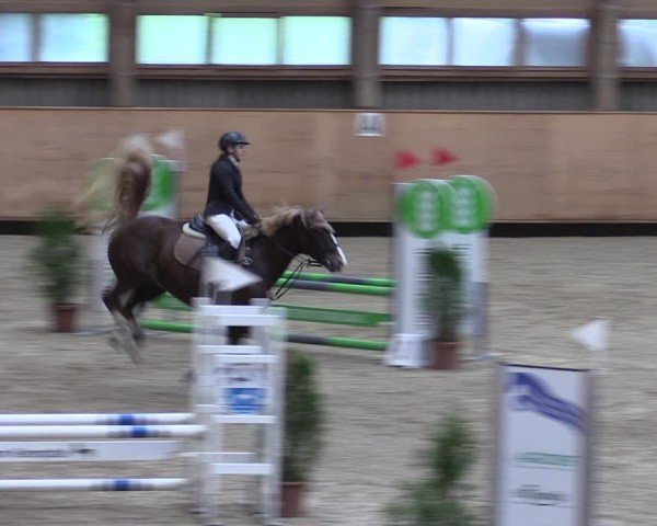 Reitturnier Fehraltorf 2024
