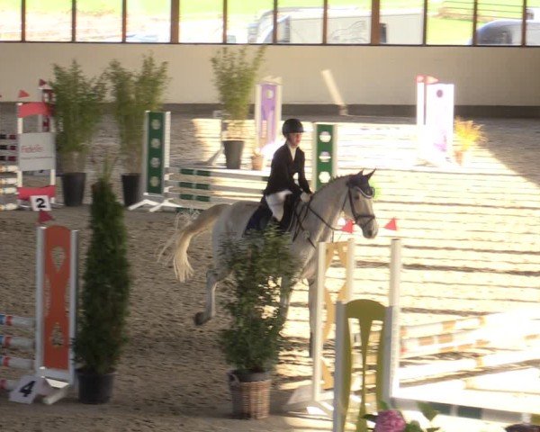 Reitturnier Fleesensee Classic´s 2024