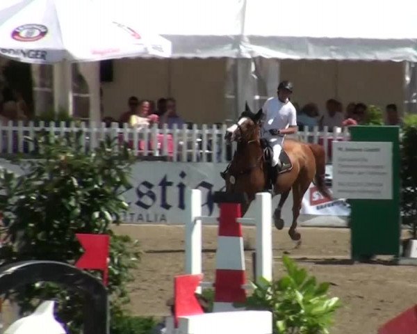 60. Lobbericher Reitsportfestival 01.-04.08.2013