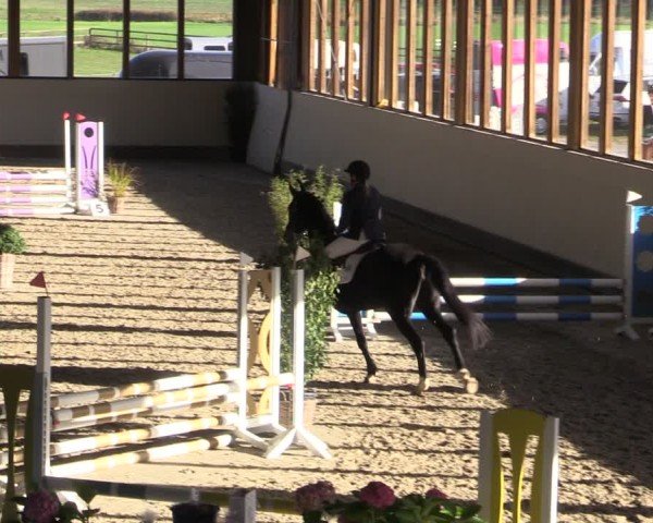 Reitturnier Fleesensee Classic´s 2024