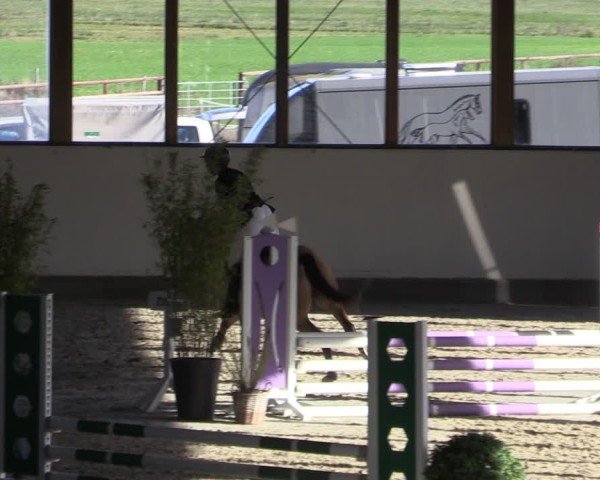 Reitturnier Fleesensee Classic´s 2024