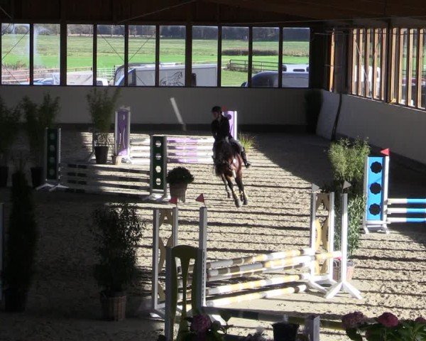 Reitturnier Fleesensee Classic´s 2024