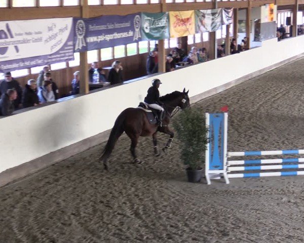 Reitturnier Fleesensee Classic´s 2024