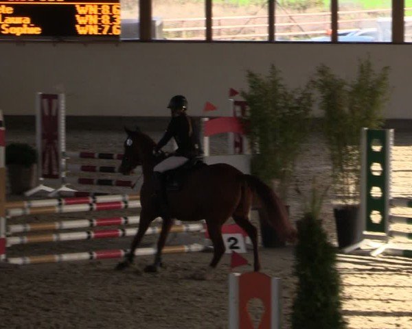 Reitturnier Fleesensee Classic´s 2024