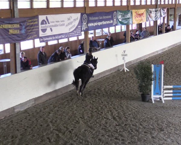 Reitturnier Fleesensee Classic´s 2024