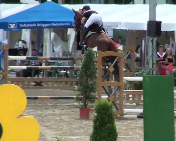 60. Lobbericher Reitsportfestival 01.-04.08.2013