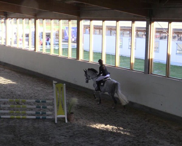 Reitturnier Fleesensee Classic´s 2024