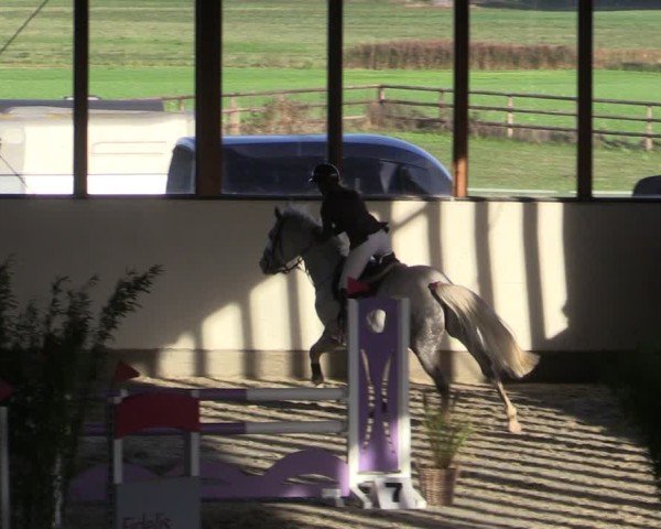 Reitturnier Fleesensee Classic´s 2024