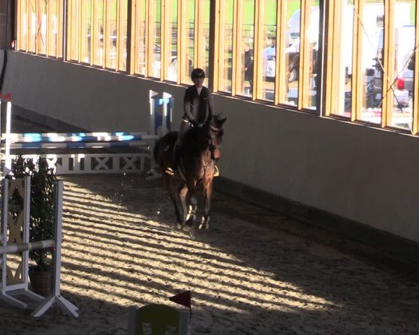 Reitturnier Fleesensee Classic´s 2024