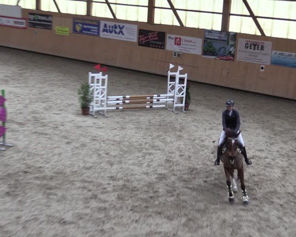 Reitturnier Fehraltorf 2024