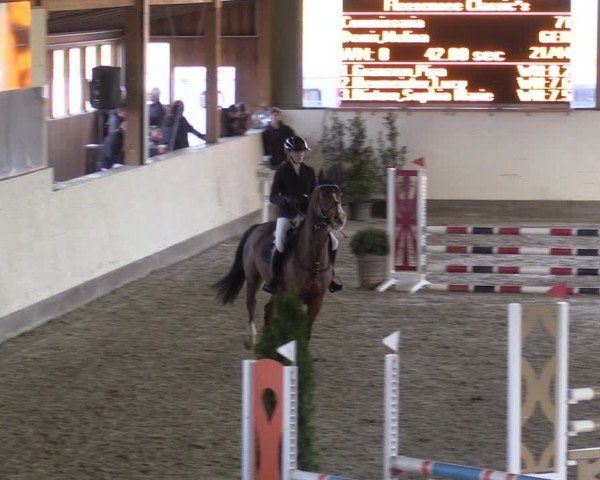 Reitturnier Fleesensee Classic´s 2024