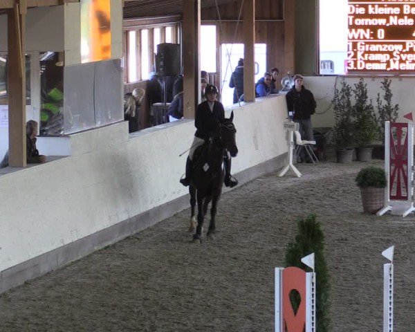Reitturnier Fleesensee Classic´s 2024