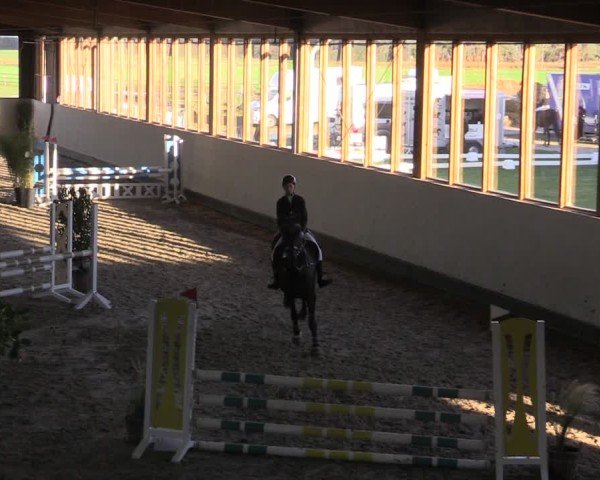 Reitturnier Fleesensee Classic´s 2024