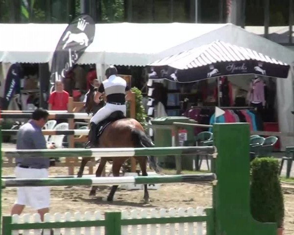 60. Lobbericher Reitsportfestival 01.-04.08.2013