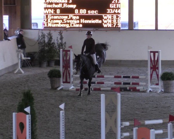 Reitturnier Fleesensee Classic´s 2024