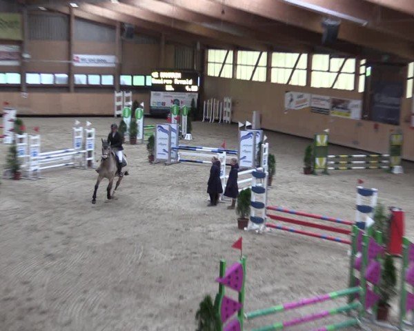 Reitturnier Fehraltorf 2024