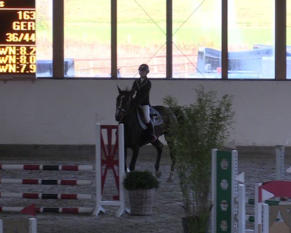 Reitturnier Fleesensee Classic´s 2024