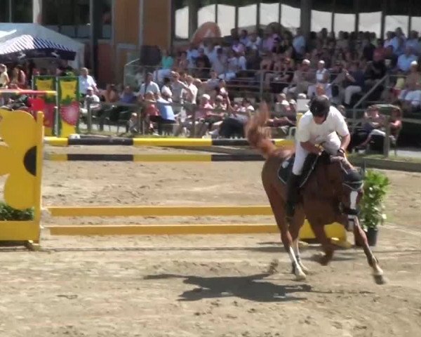 60. Lobbericher Reitsportfestival 01.-04.08.2013