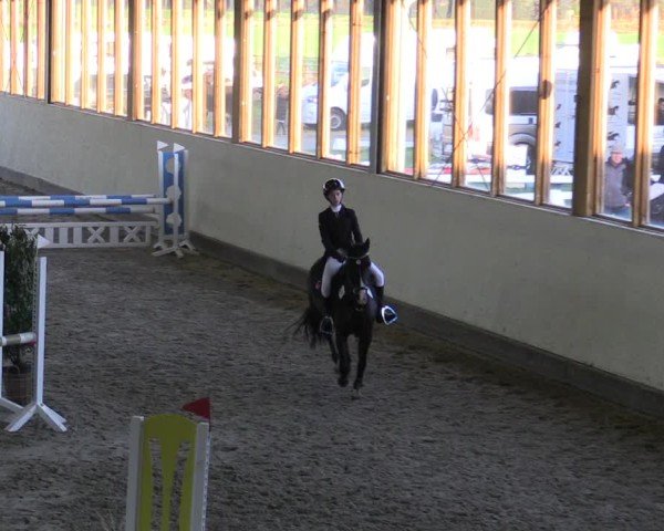 Reitturnier Fleesensee Classic´s 2024
