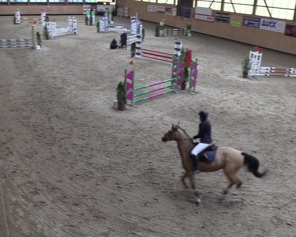 Reitturnier Fehraltorf 2024