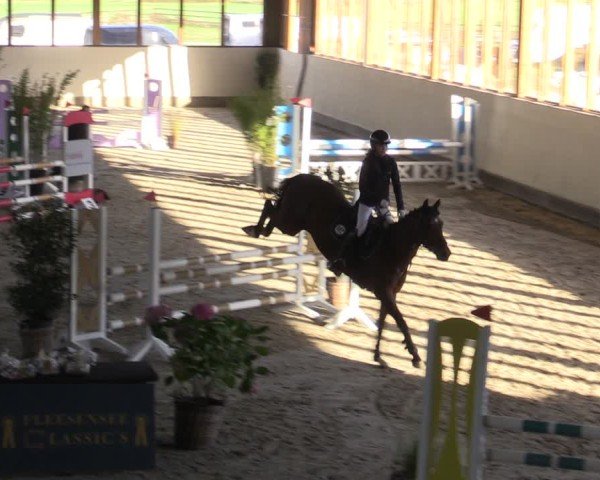 Reitturnier Fleesensee Classic´s 2024