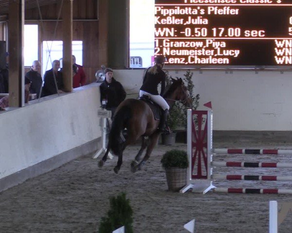 Reitturnier Fleesensee Classic´s 2024