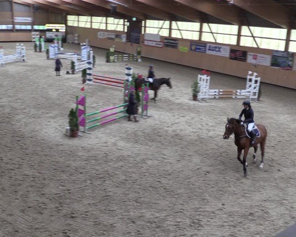 Reitturnier Fehraltorf 2024