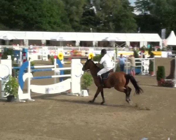 60. Lobbericher Reitsportfestival 01.-04.08.2013
