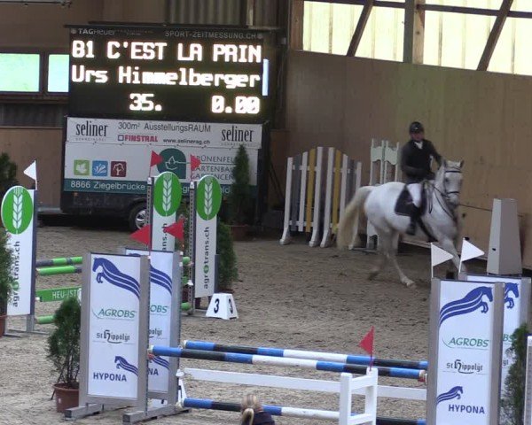 Reitturnier Fehraltorf 2024