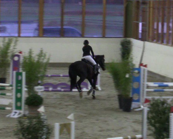 Reitturnier Fleesensee Classic´s 2024