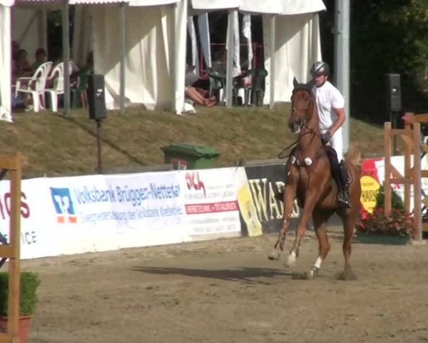 60. Lobbericher Reitsportfestival 01.-04.08.2013