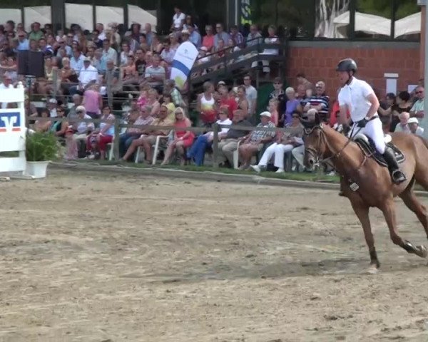 60. Lobbericher Reitsportfestival 01.-04.08.2013