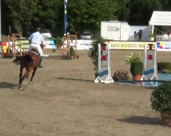 60. Lobbericher Reitsportfestival 01.-04.08.2013