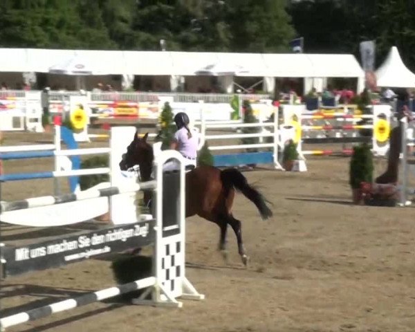 60. Lobbericher Reitsportfestival 01.-04.08.2013