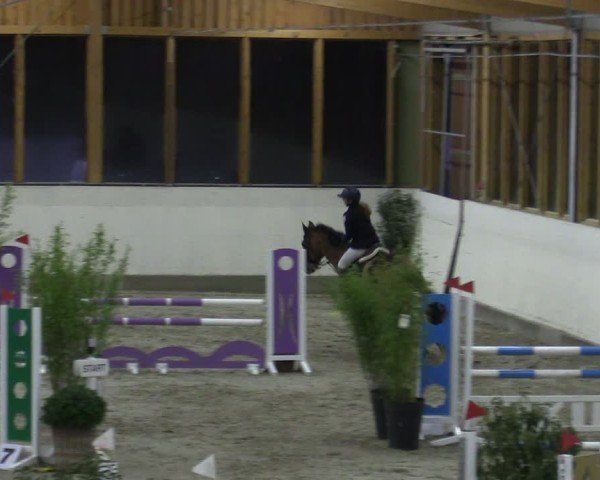 Reitturnier Fleesensee Classic´s 2024
