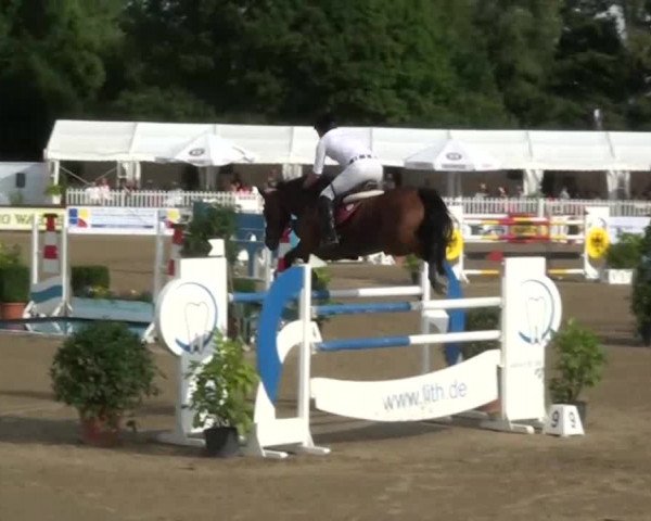 60. Lobbericher Reitsportfestival 01.-04.08.2013