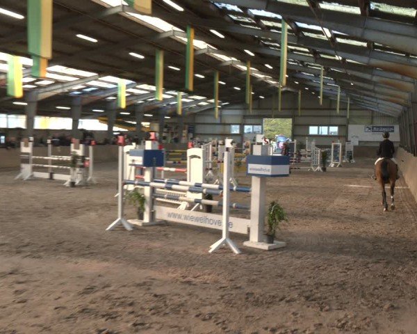 Reitturnier Ibbenbüren 2024