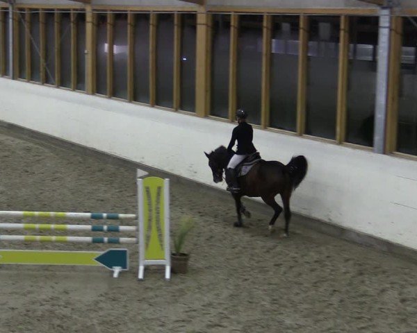Reitturnier Fleesensee Classic´s 2024