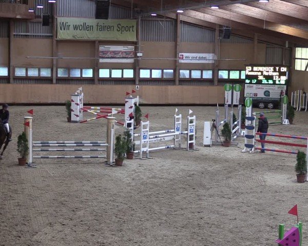 Reitturnier Fehraltorf 2024