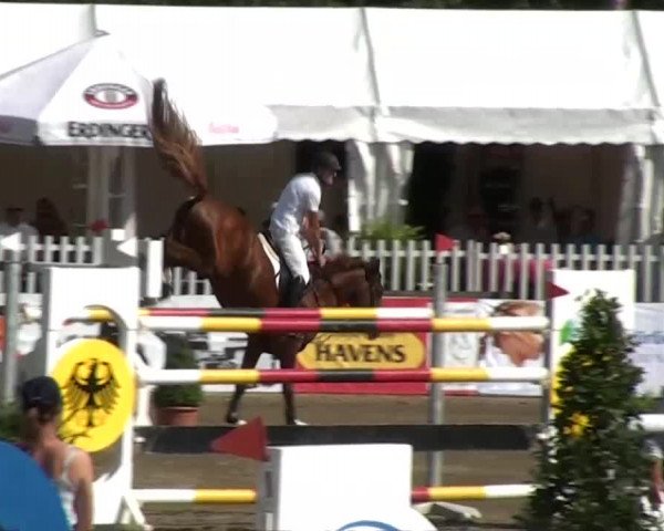 60. Lobbericher Reitsportfestival 01.-04.08.2013