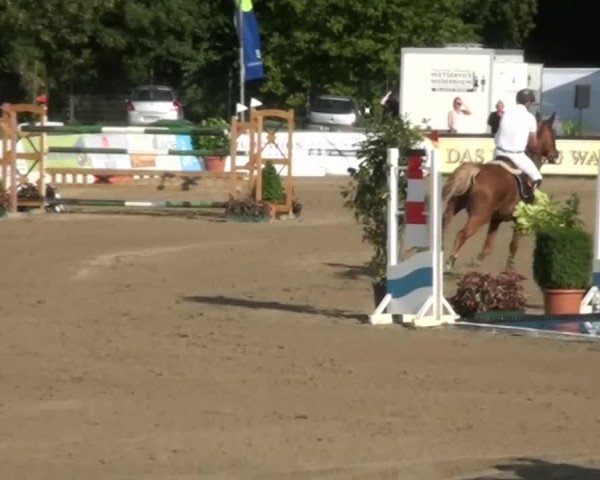 60. Lobbericher Reitsportfestival 01.-04.08.2013