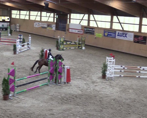 Reitturnier Fehraltorf 2024