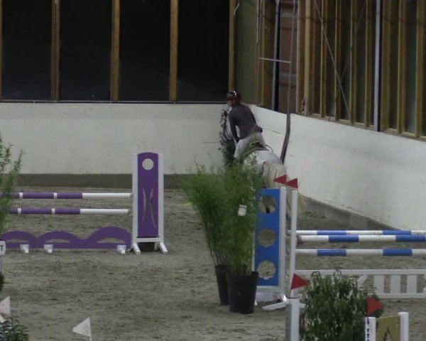 Reitturnier Fleesensee Classic´s 2024