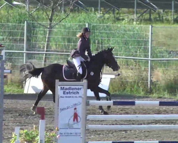 Leutkirch-Haid 2013