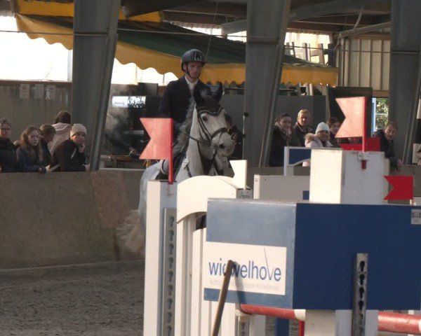 Reitturnier Ibbenbüren 2024