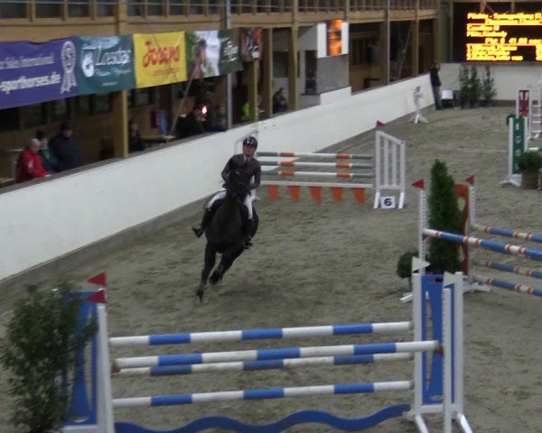Reitturnier Fleesensee Classic´s 2024