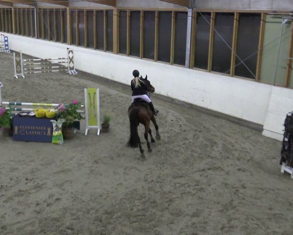 Reitturnier Fleesensee Classic´s 2024